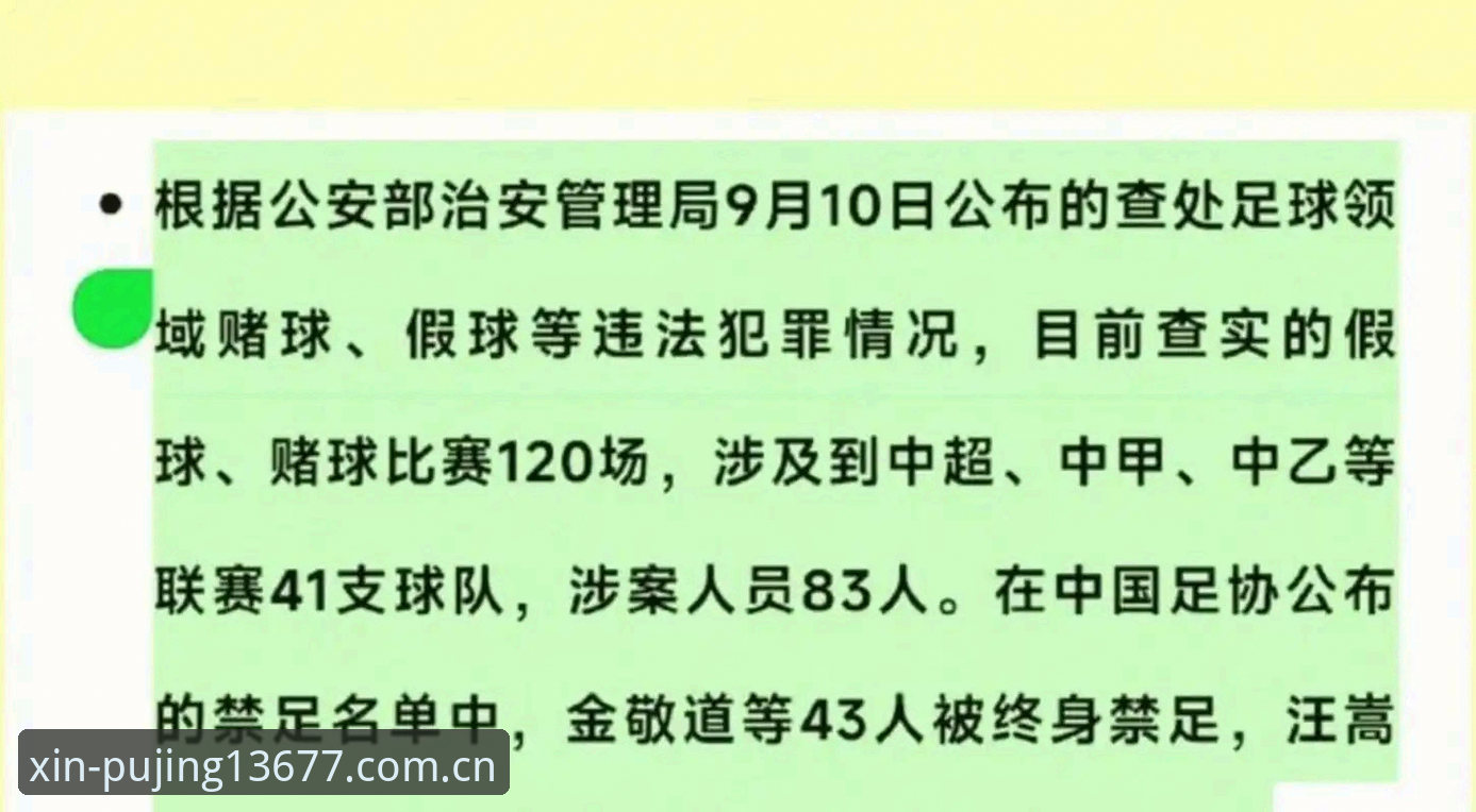 新浦京13677靠谱吗 足协第三批禁足名单出炉,3个关键点帮你快速看懂这场行业地震