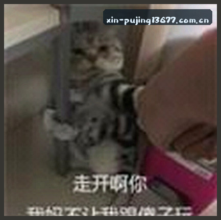 张丽